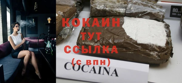 мдпв Богданович