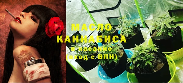 мдпв Богданович