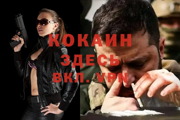 мяу мяу мука Бородино